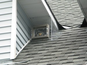 One way trap door for Raccoons in your attic