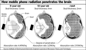 Cell Phone Radiation Concerns