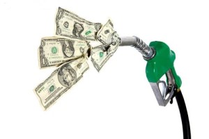 Reduce Gasoline Usage
