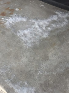 white powder on concrete garage floor